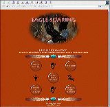 eagle-soaring